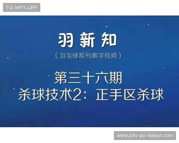 羽毛球技术统计平台建设与数据应用价值